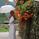 예산소복갈비 이미지