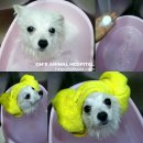 자이동물병원 이미지