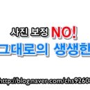 스시togo