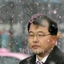 천본앵 이미지