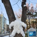 서낭당근린공원 이미지