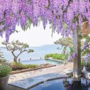 파라다이스 오션 스파 이미지