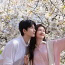 지극정성 프로젝트 <10분 예술제> | ​[중드 추천] 장릉혁 서약함 주연 로맨스 드라마 《애니(爱你)》 하이라이트 영상과 후기