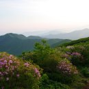 한잔만7080 Daum카페