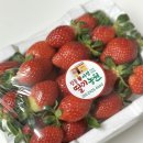 세븐일레븐 강릉연곡점 | 강릉 연곡 딸기 추천, 이성돈딸기｜베리베리딸기 예약 (+크림 모찌롤)