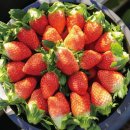 수곡농장 이미지