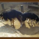 태봉농장1 이미지