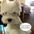 오억식당 이미지