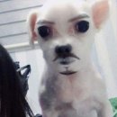 나 한국인가