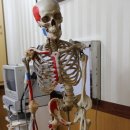 월드경희한의원 이미지