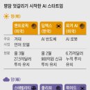 하마인력 이미지