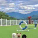 멍스빌리지풀빌라5 | 멍스빌리지풀빌라 경기도 펜션, 이곳에서만 가능한 특별한 혜택이 있다니!