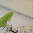 예쁘개 네이버블로그
