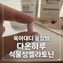 브로멜라인 듬뿍 다온하루멜라브롬 식물성 저용량 멜라토닌 수면관리 찐후기
