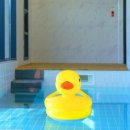 더블루네스 이미지