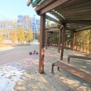 쥬얼리부동산공인중개사사무소 이미지