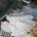 아이블씨 이미지