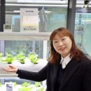 화수정원마을관리사회적협동조합 | [인터뷰] 지역 공폐가에 생명 심고 고령 일자리 창출…사회적 기업 ‘마음길’