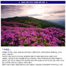 서부산악회 제408차 지리산바래봉 철쭉산행(2023년5월7일) 이미지