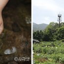 무수골마을입구 이미지