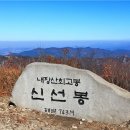 2026년10월 원주산오름산악회 정기산행 전북 정읍 내장산(763m)/8봉종주 계획공지 이미지