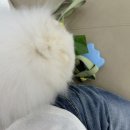 덕은하이동물병원 이미지