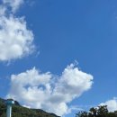 그린하루