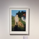 대림4길 6-1, (문화동) | [ 서촌 / 대림미술관 ] 페트라콜린스 : fangirlㅣ전시회 후기ㅣ무료 전시