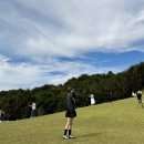 주안청주보쌈 | 청주 율량•사천 : 먹는족족