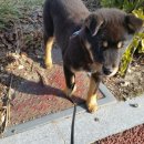 김천연합동물병원 이미지