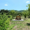 국토정중앙천문대 야영장 2 이미지