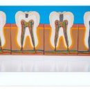 아주의료기상사 이미지