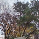 불암산악회 | 서울 불암산