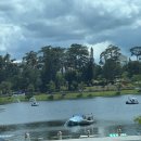 선진코리안 | [베트남| 달랏] 🇻🇳 2일차 진시황이 탐냈던 검은 보석과 불로초의 땅, 달랏 정복기! (feat. 하나투어...