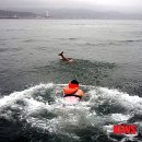 울산광역시야생동물구조관리센터 이미지