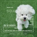 스퀘어독스 서산점 이미지