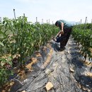 농민농약사 이미지