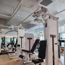 머슬앤핏 이미지