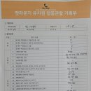 안양펫 티스토리