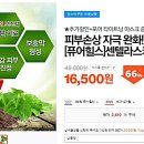 코스모스카 이미지