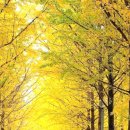 정해농장 이미지