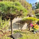 양지바름 이미지