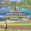 덤덤 마켓