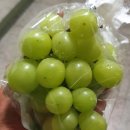 조규열농장 이미지