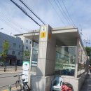 석림왕족발 네이버블로그