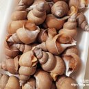 대일할인마트 이미지