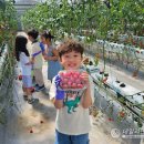 청양초등학교 이미지