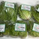 둥구머리협동조합 이미지