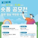 속초교육문화관 이미지