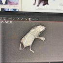 이앤박동물병원 이미지